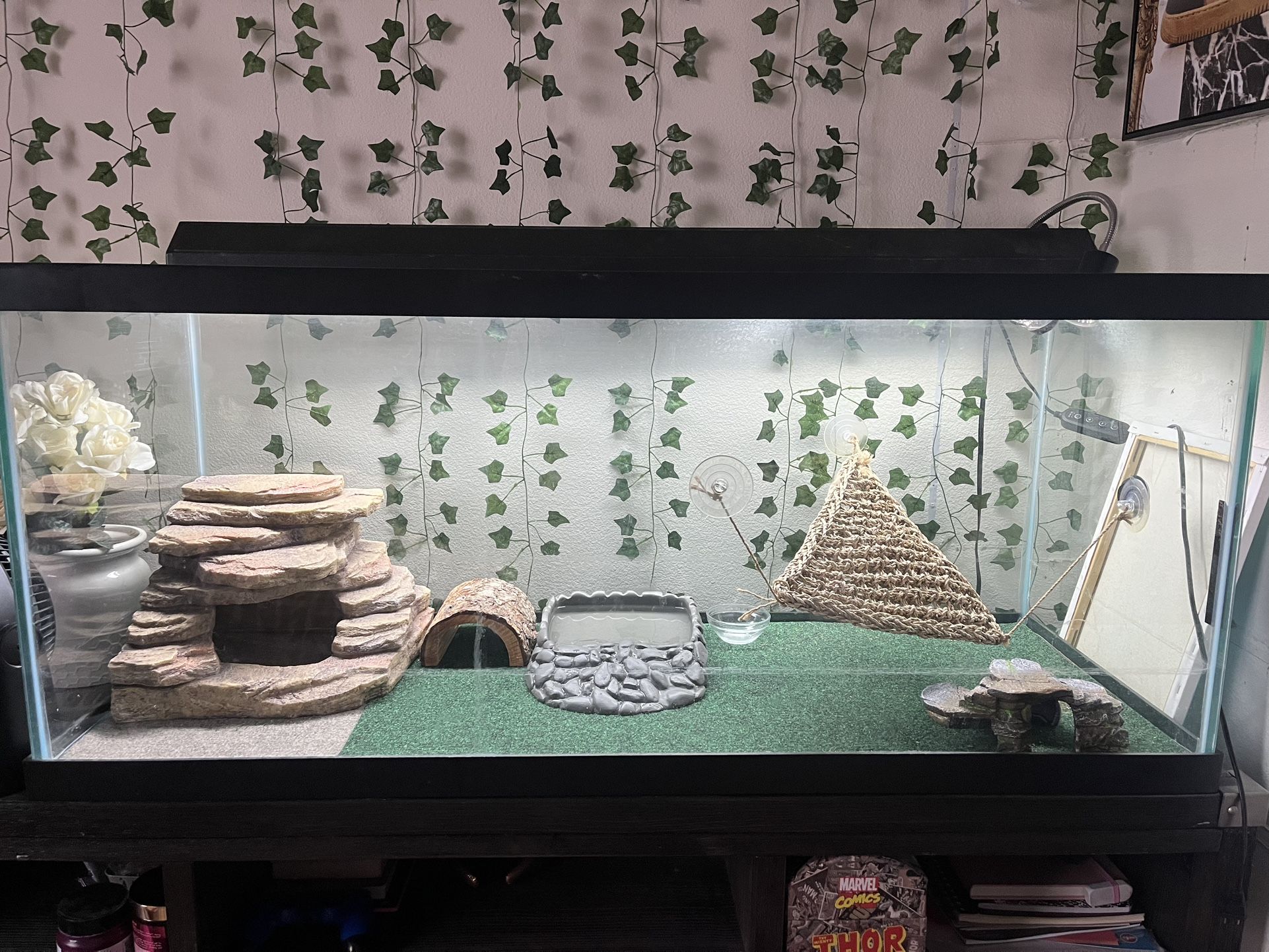 100 gallon tank and accessories 