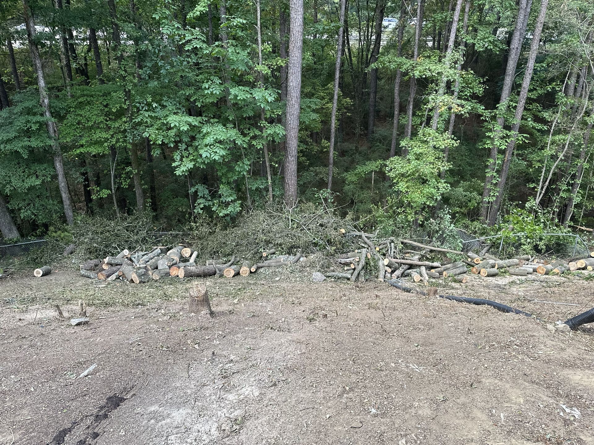 Free Fire Wood