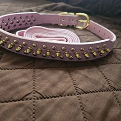 Dog Collar With Leash 