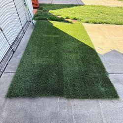 Synthetic Turf - 2 Pieces