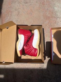 Jordan 12