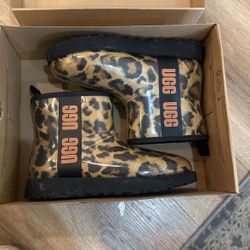 Women UGG