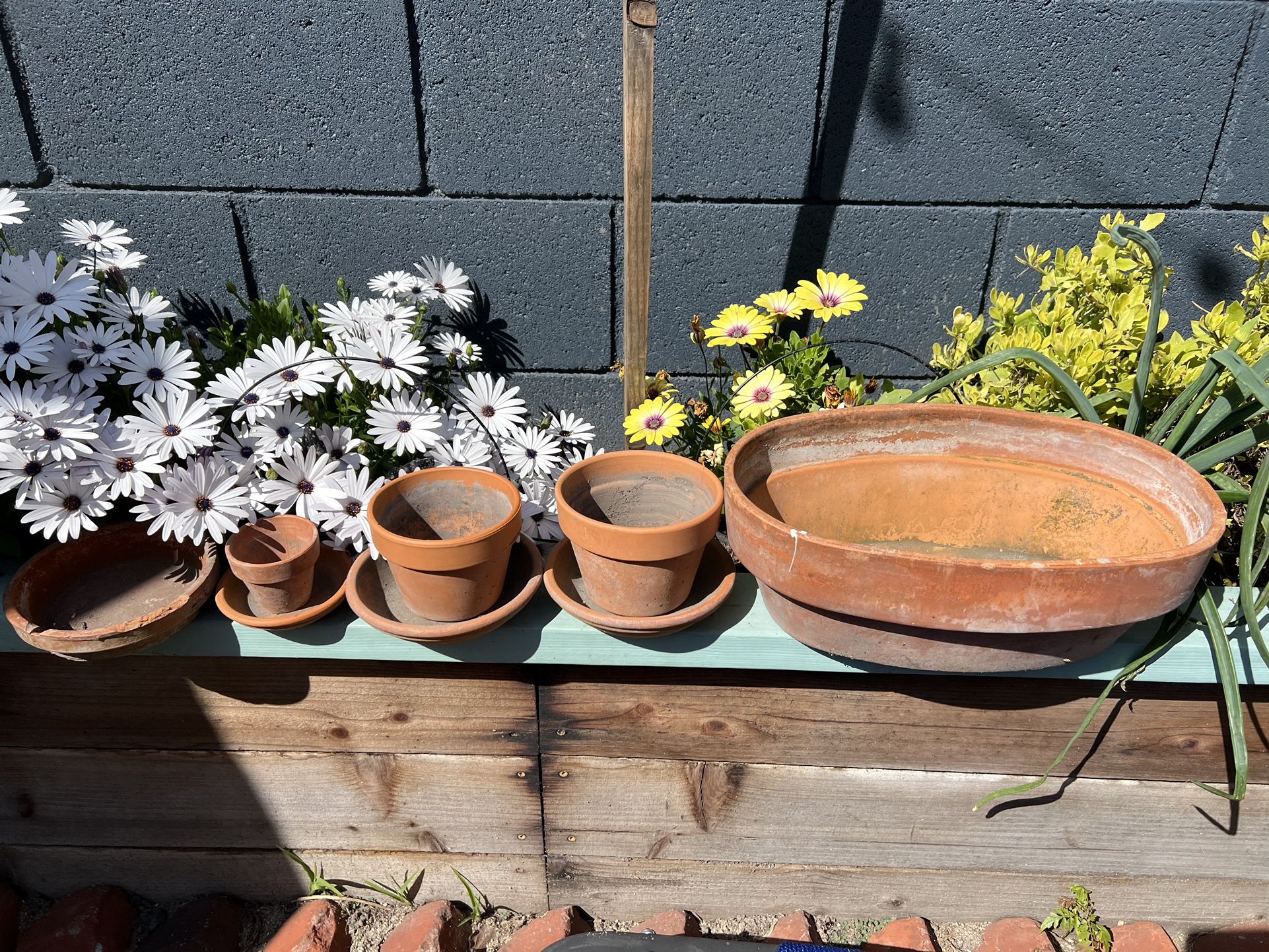 Flower Pots