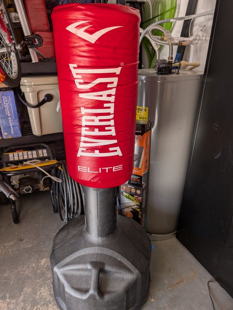 Everlast Punching Bag Free Standing