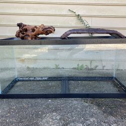 Aquarium/ Tank supplies