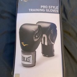 Everlast Boxing Gloves 14oz