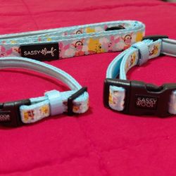 Winnie The Pooh Collar & Leash