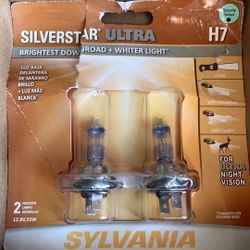 Light Bulbs