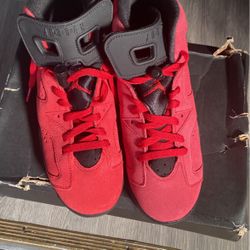 Brand New Jordan 6 