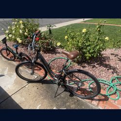 Trek Navigator 2.0 Adult Cruiser Bicycle