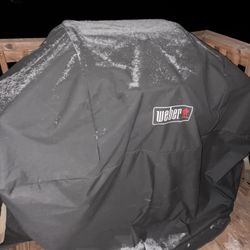 Weber Dyno-Glo Propane Grill