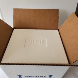 Lot Of 4 ULINE Insulated Foam Coolers 10 1/2 x 8 1/4 x 9 1/2"