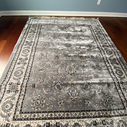 Area rug (7x 10)