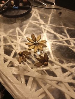 Vintage Tafari Broach And Earring Clips