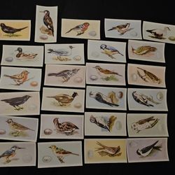 25 Vintage Bird Cards Over 100 Years Old