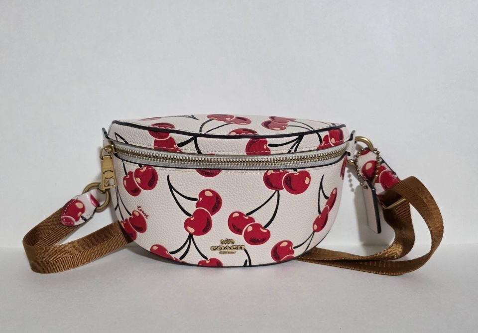 Coach Cherry Bag 