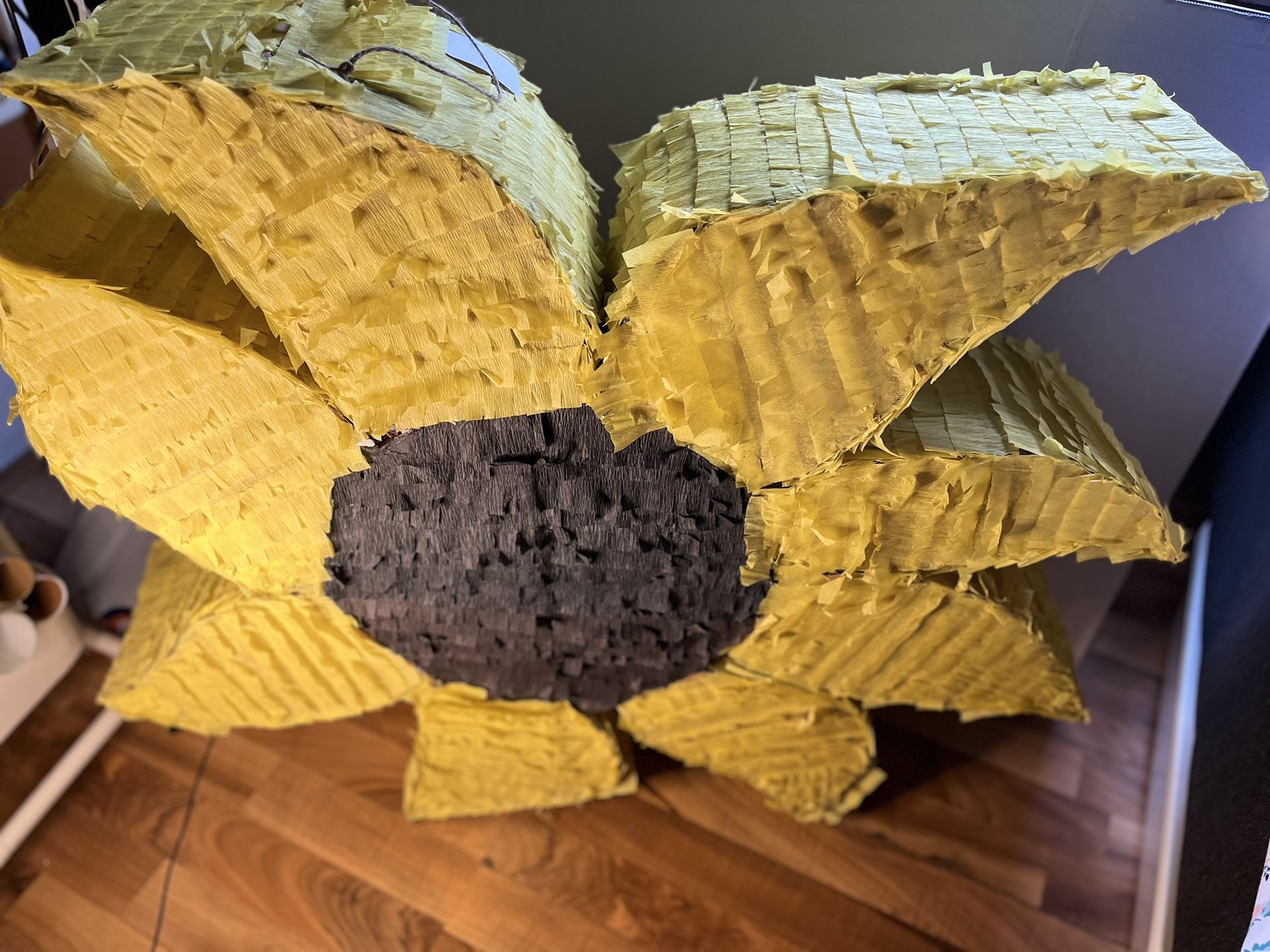 SUNFLOWER PINITA