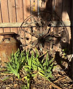 Garden decor/wall art/ rustic decor