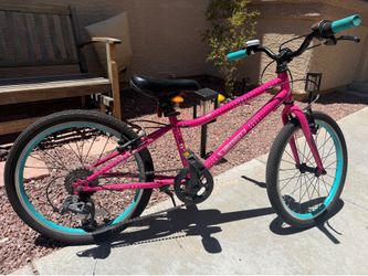 Guardian 20” girls bike