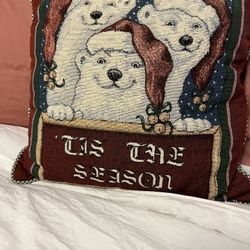 Pillow 14x14