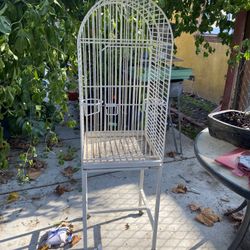 Bird Cage