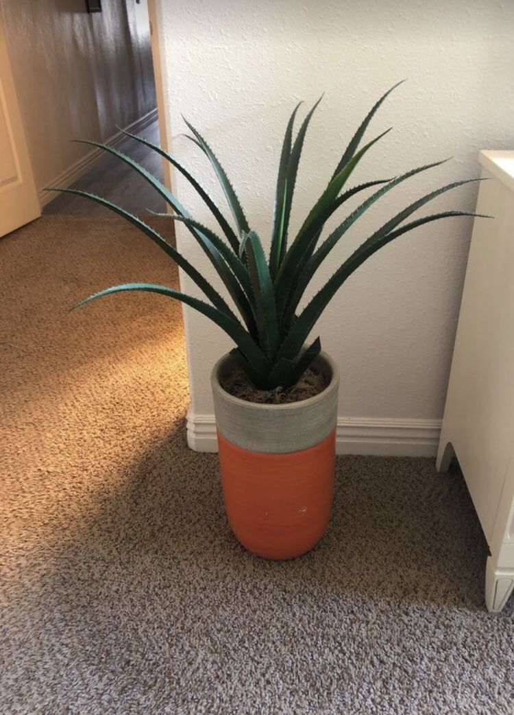 Fake aloe plant with heavy ceramic painted base