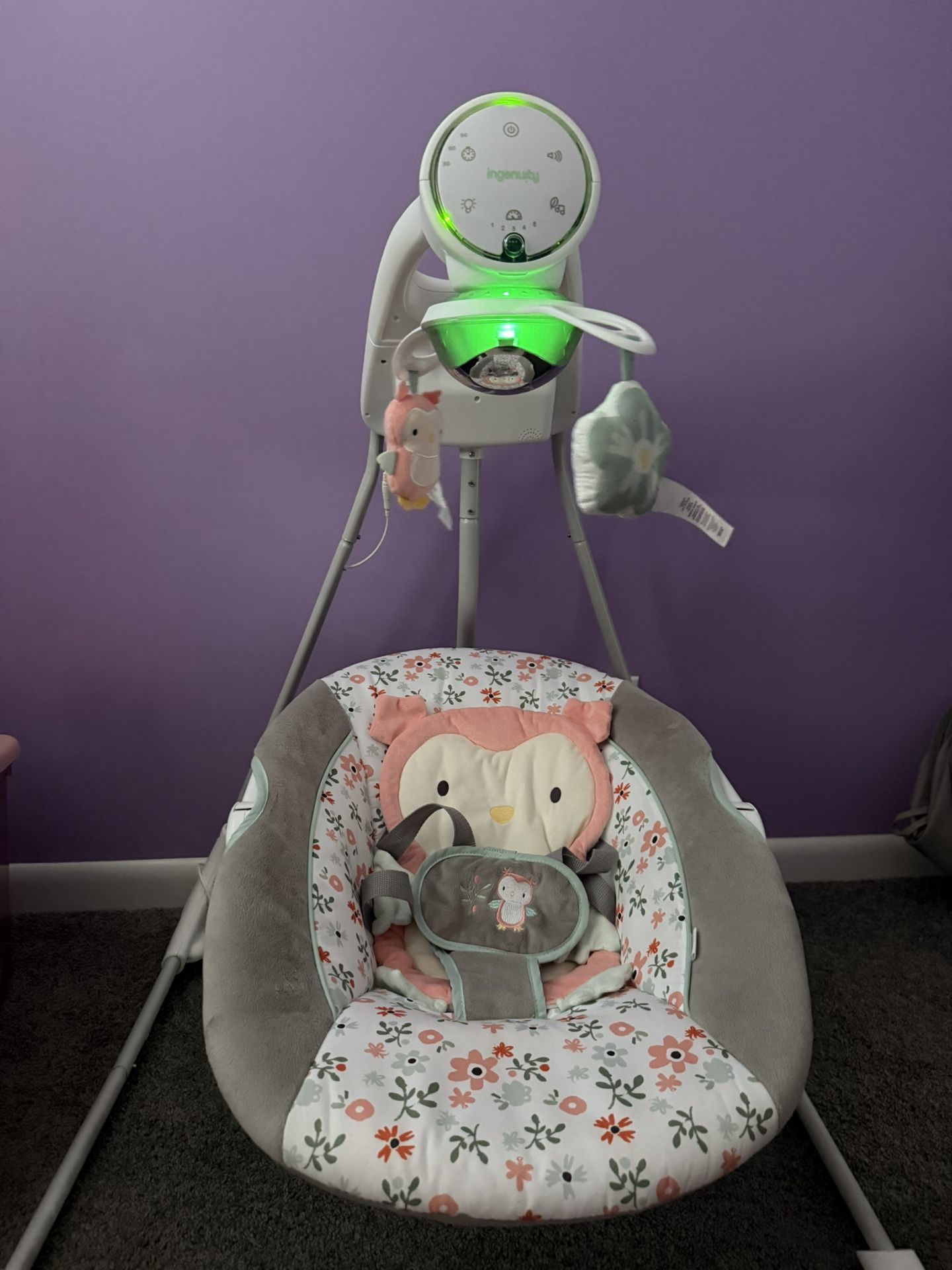 Baby Swing