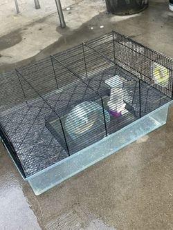 Hamster Cage