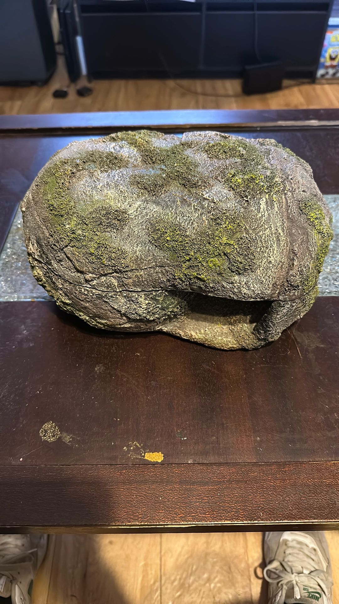 2 Piece Reptile House