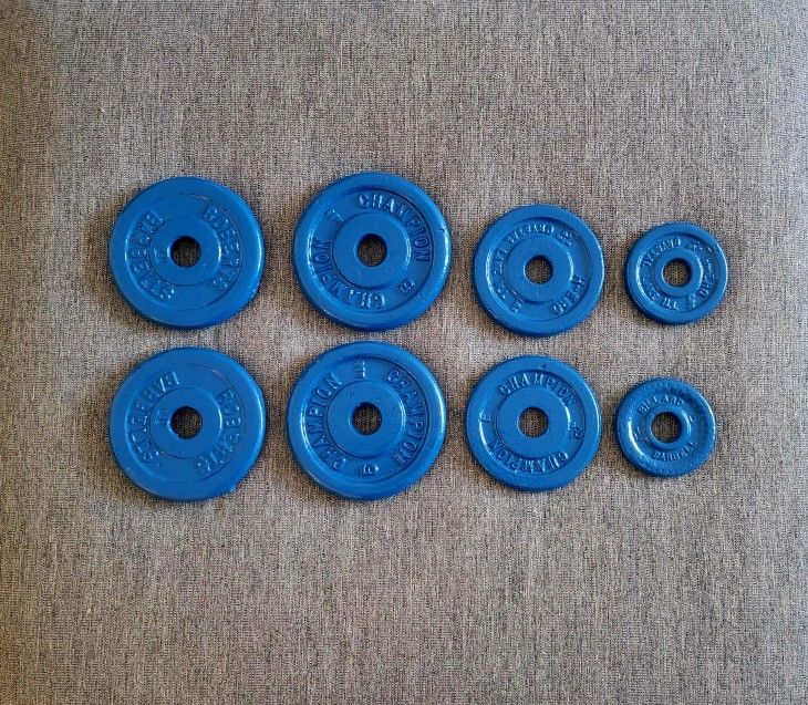 Steel Weight Plates - Totaling 27.5 Pounds