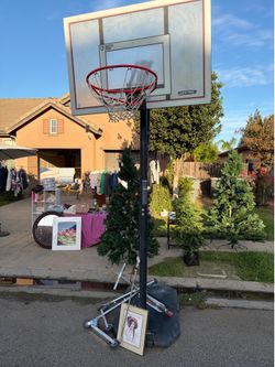 Today Christmas trees prelit $10