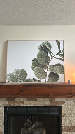 Large Fiddle Leaf Fig Canvas Wall Art