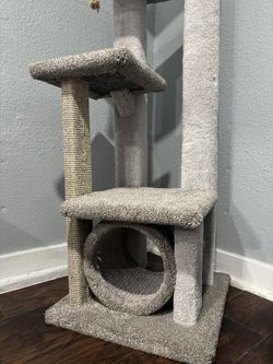 Cat Tere Brand New