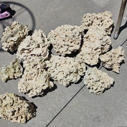 Saltwater Reef Fish Tanks, Live Rock, And More