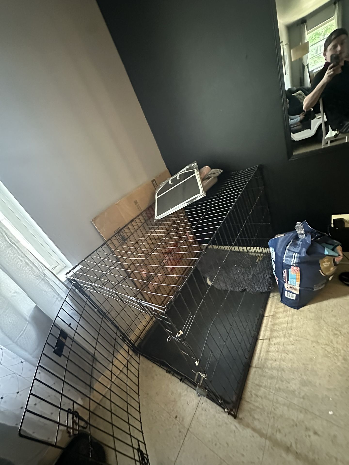 Large Dog Cage