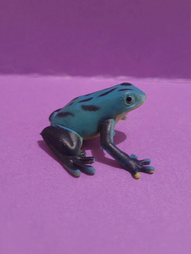 Frog Toad Toy Blue Black Educational Animals Science amphibians.