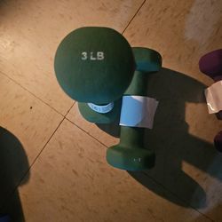 2-3 Lb Hand Weights