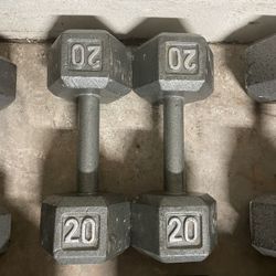 20lbs Dumbbell Set