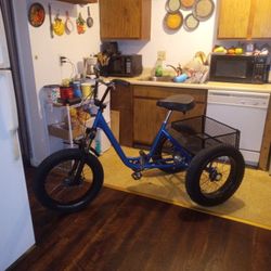 Bicicleta De Tres Ruedas 