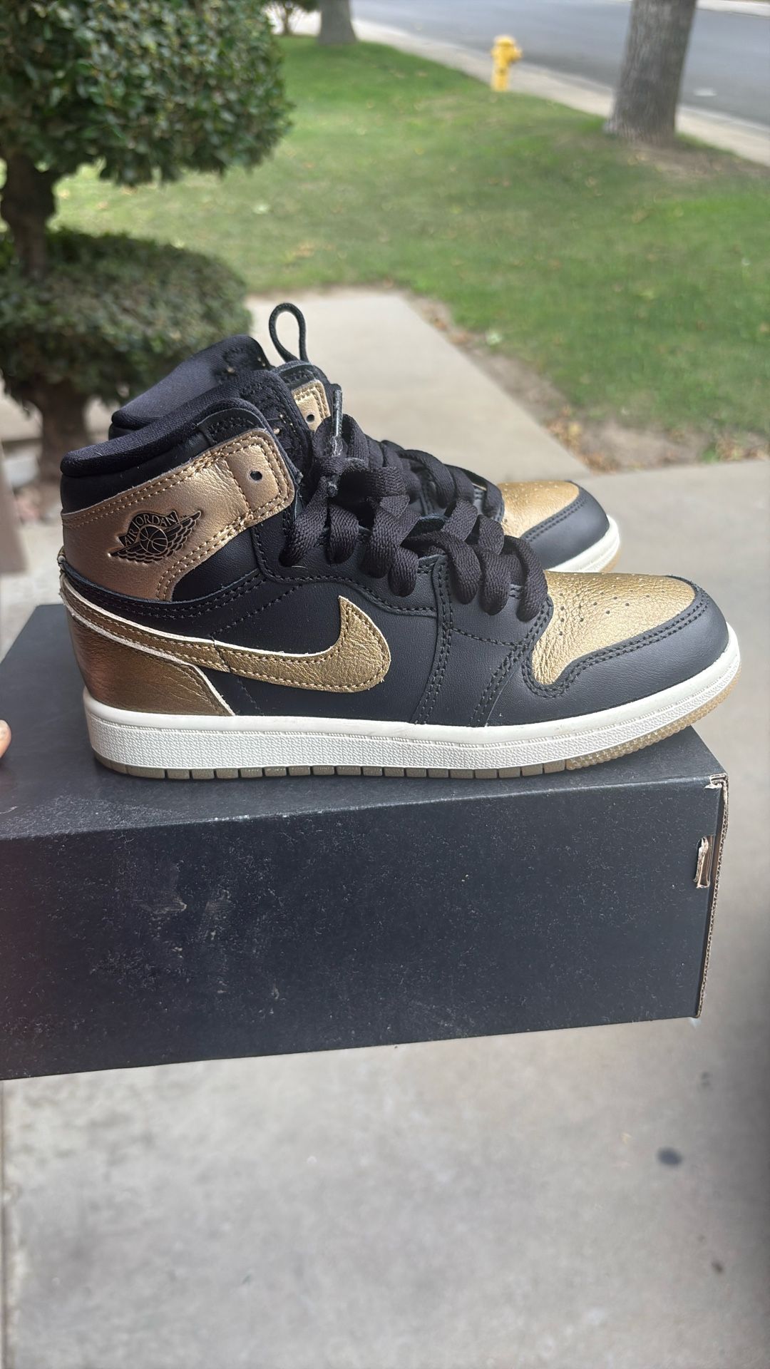 Jordan 1 Retro High Tops 