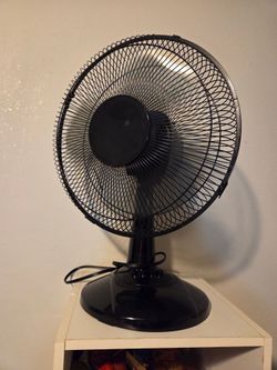 Fans