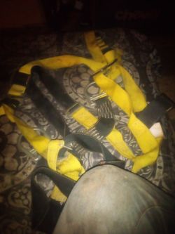 Safety Harness Good Condition