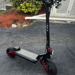 Scoter New 