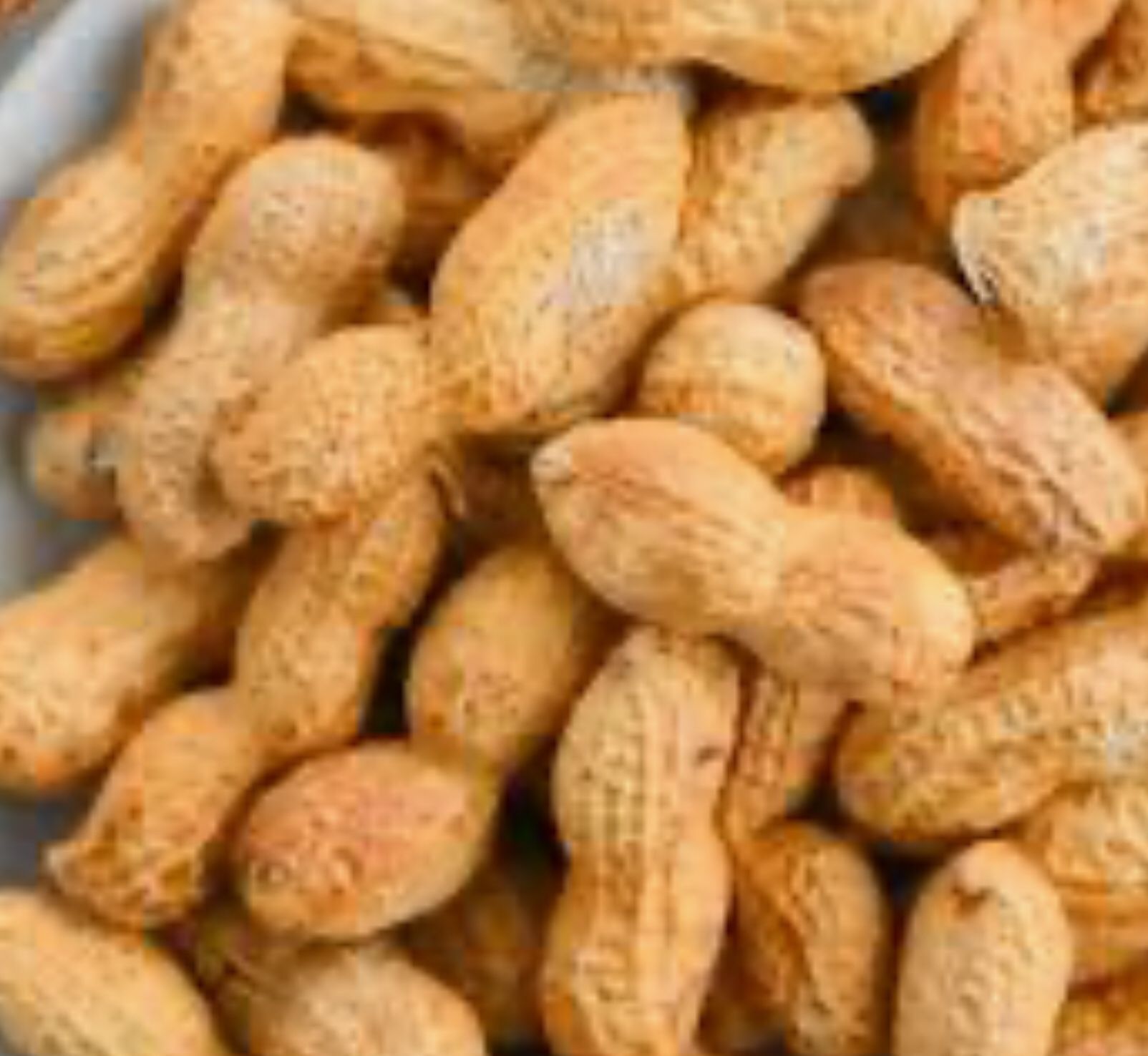 Fresh Roasted Peanuts