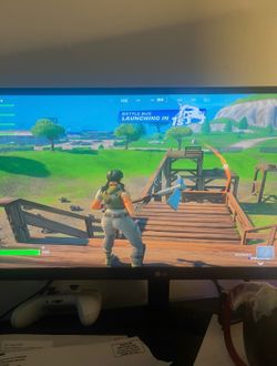 LG 29" UltraWide Gaming Monitor