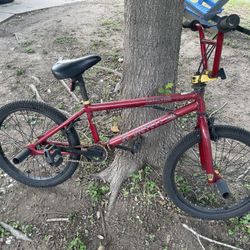 DK BMX Jaime Bestwick Signature Series 