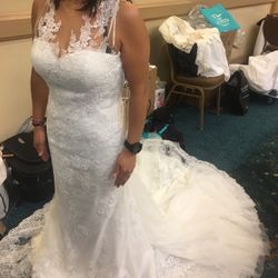 Pronovias Lace Wedding Dress