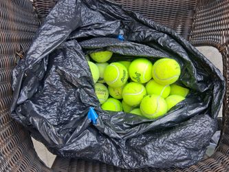 tennis balls for $20, chairs, t-ball, dog chase
