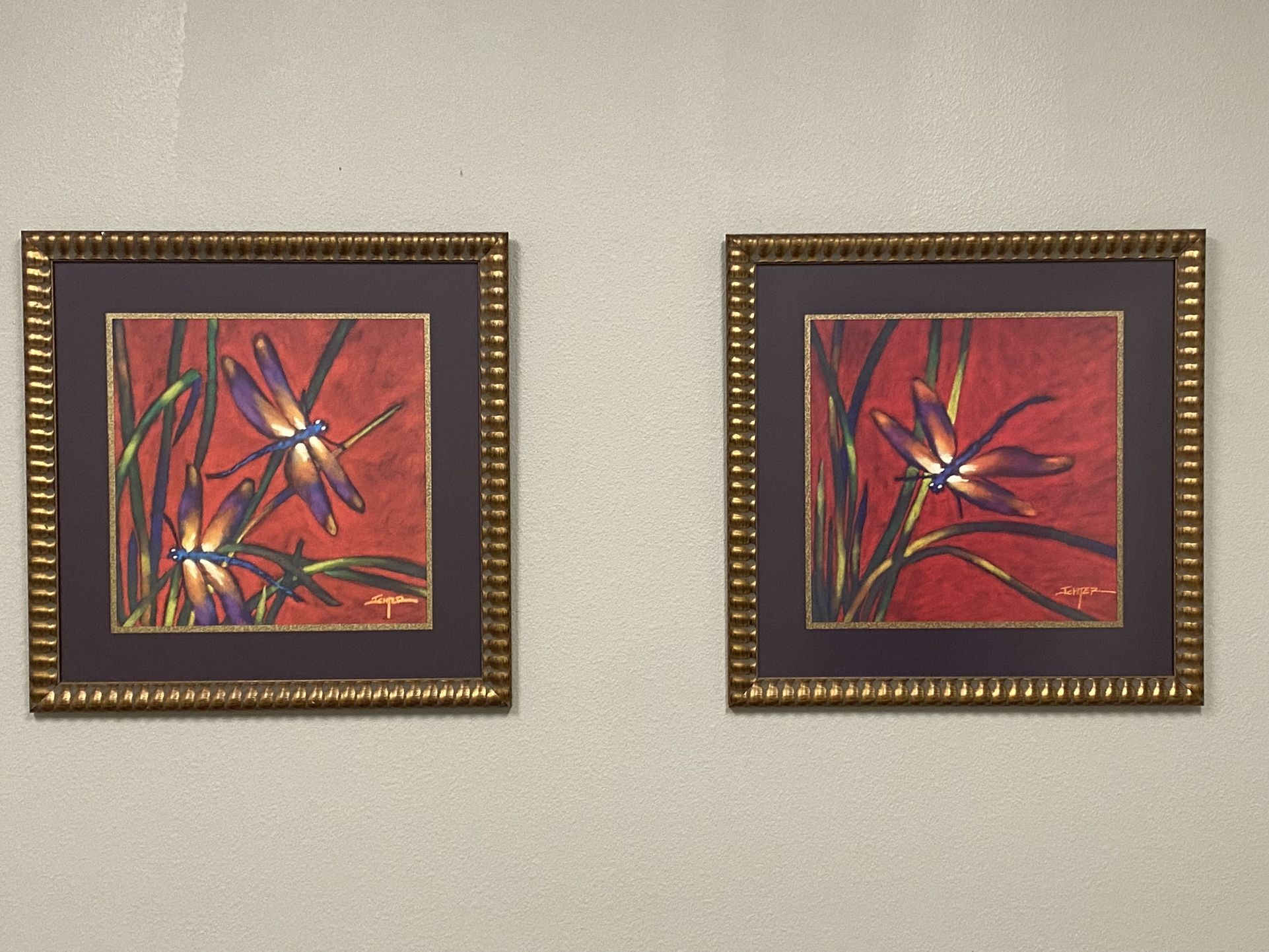 Matching Dragonfly Pictures