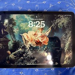 iPad Air M2 11in 256 GB (Wi-Fi Only)